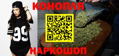 винт Шелехов